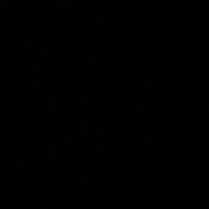 Meet your Posher, Kiara